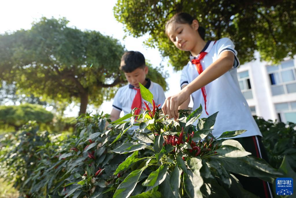 捕鱼大作战外挂下载